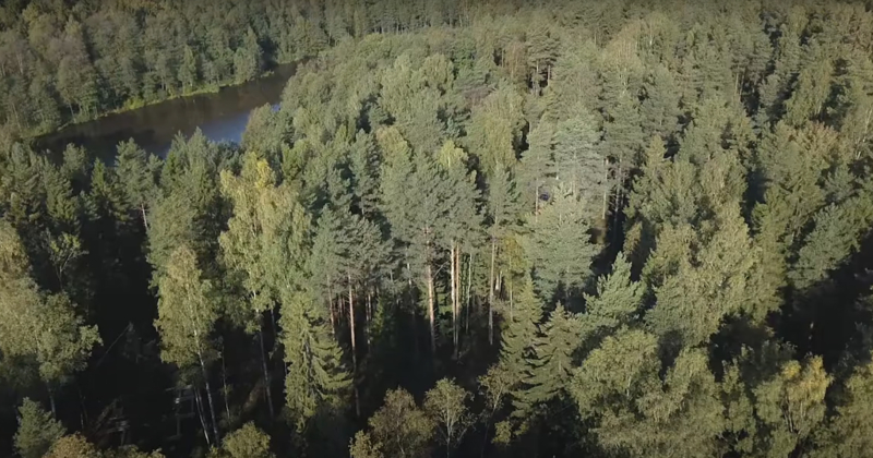 Территория базы отдыха "Усадьба Неясыть"